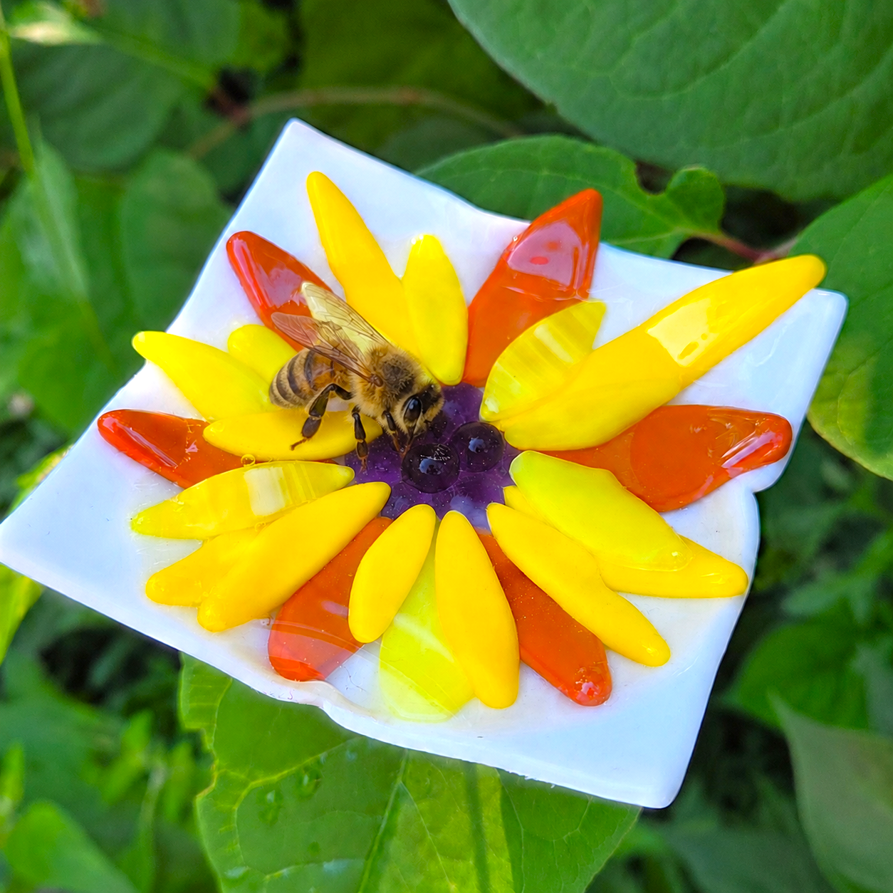 Fused Glass Bee Baths